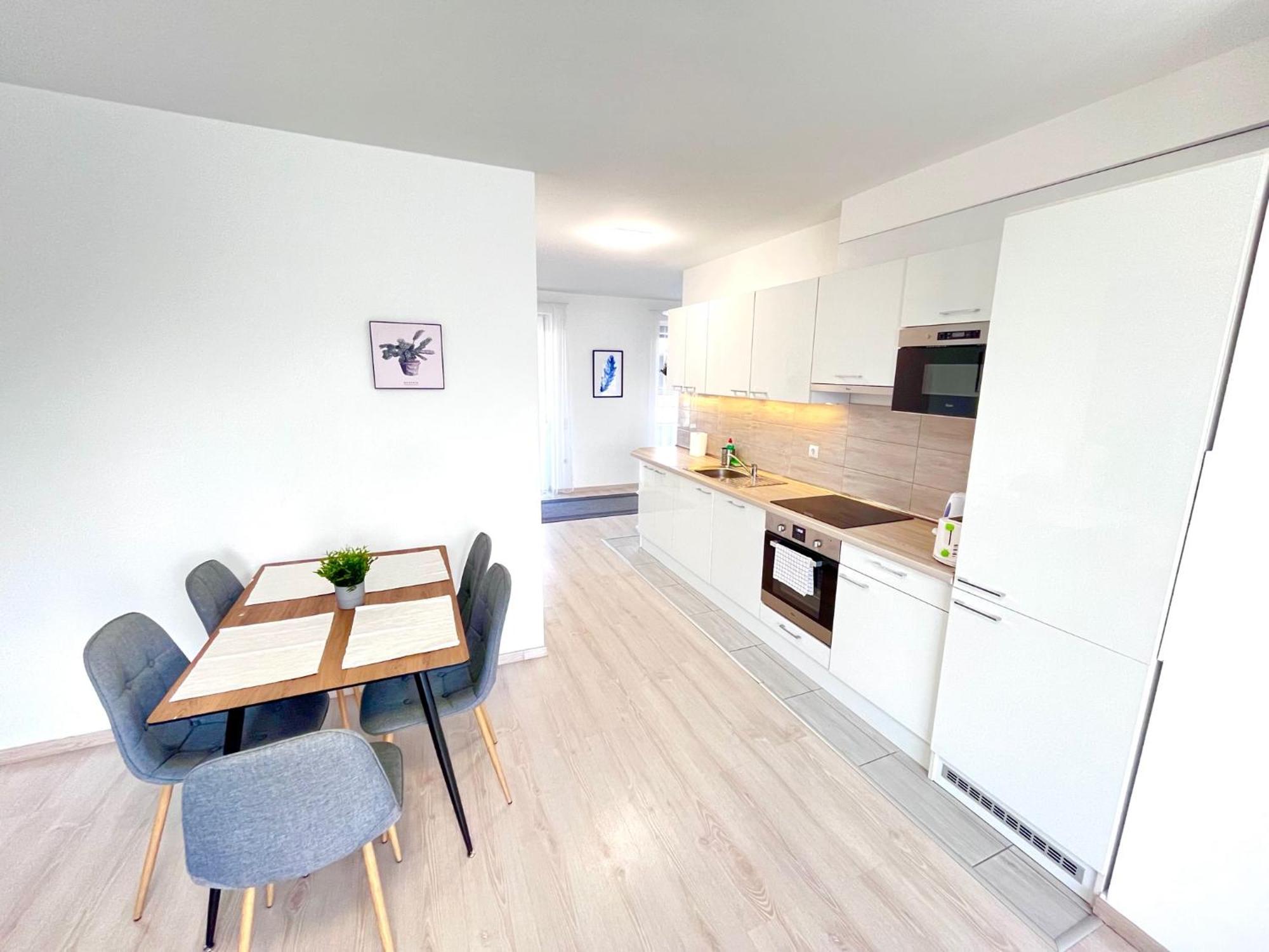 Downtown Residences Leo - Ac, Elevator, Terrace Apartamento *